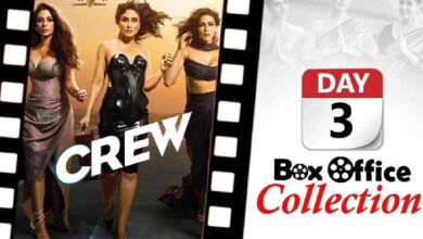 Crew Box Office Collection Day 3: फिल्म ने अब तक 29.25 करोड़ रुपये की कमाई कर ली है