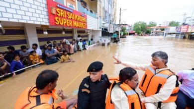 आंध्र प्रदेश और तेलंगाना में बारिश का कहर, मची चीख पुकार